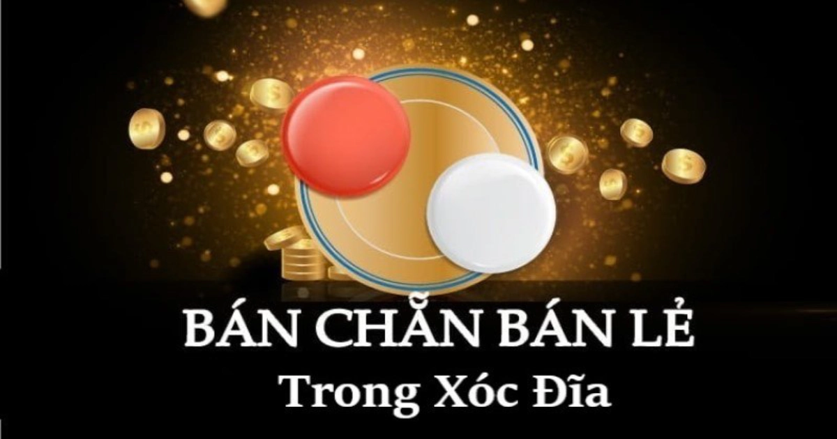 Đặc điểm của xóc đĩa